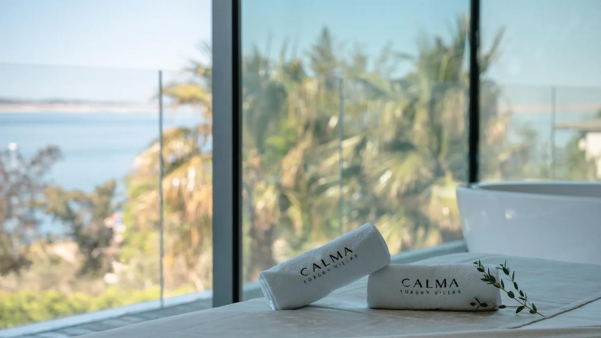 5-Star Villa Calma I With Heated Pool, Jacuzzi, Sea And Palm Tree Garden Starigrad Paklenica
